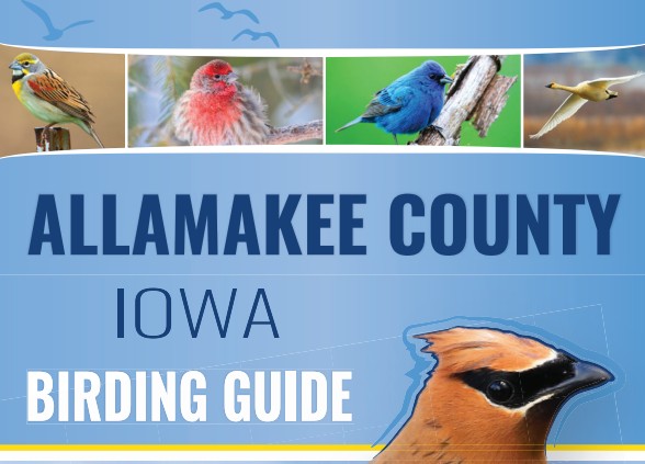 AllamakeeBirdGuide.jpg